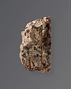 Relief fragment by Unknown Artist