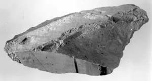 Relief fragment, tomb of Meketre by Unknown Artist