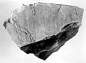 Relief fragment, tomb of Meketre by Unknown Artist