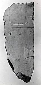 Relief fragment, tomb of Meketre by Unknown Artist