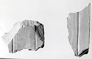 Relief fragment, tomb of Meketre by Unknown Artist