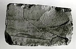 Relief fragment, tomb of Meketre by Unknown Artist