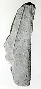 Relief fragment, tomb of Meketre by Unknown Artist