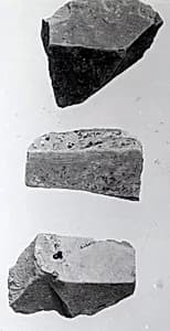 Relief fragment, tomb of Meketre by Unknown Artist