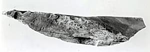Relief fragment, tomb of Meketre by Unknown Artist