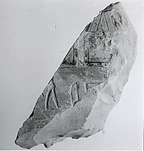 Relief fragment, tomb of Meketre by Unknown Artist