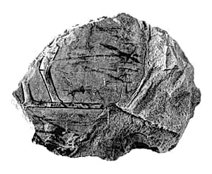 Relief fragment, tomb of Meketre by Unknown Artist