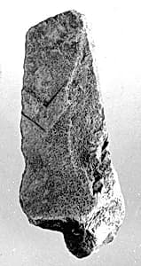 Relief fragment, tomb of Meketre by Unknown Artist