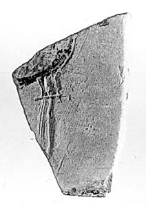 Relief fragment, tomb of Meketre by Unknown Artist