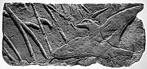 Relief with a bird by Unknown Artist