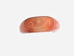 Ring Fragment by Unknown Artist