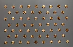 Rosettes of Senebtisi by Unknown Artist