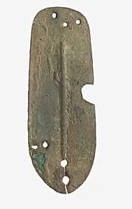 Scale from Armor by Unknown Artist