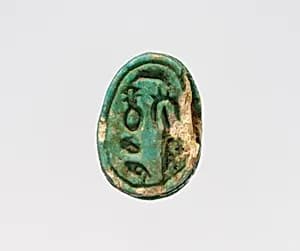 Scarab by Unknown Artist