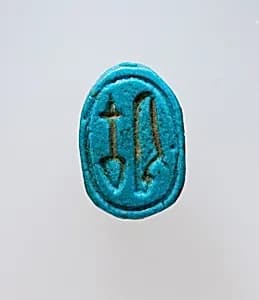 Scarab by Unknown Artist