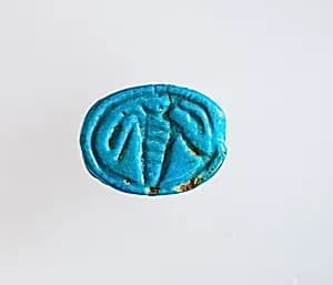 Scarab by Unknown Artist