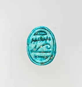 Scarab by Unknown Artist