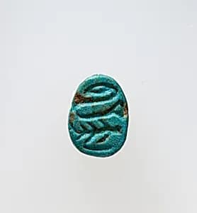 Scarab by Unknown Artist