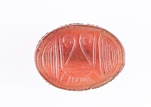 Scarab by Unknown Artist