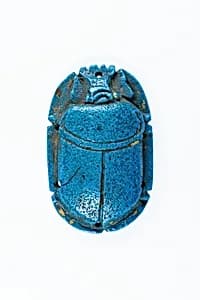 Scarab by Unknown Artist