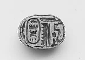 Scarab by Unknown Artist
