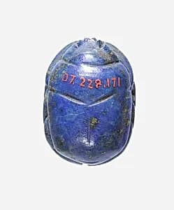 Scarab by Unknown Artist
