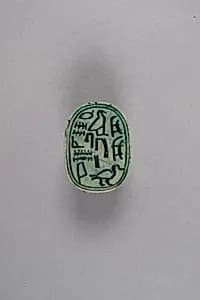Scarab by Unknown Artist
