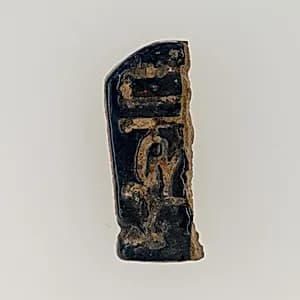 Scarab by Unknown Artist