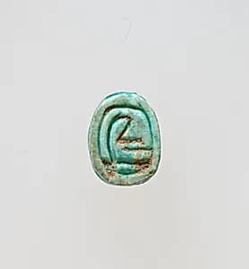 Scarab by Unknown Artist