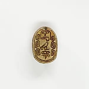 Scarab by Unknown Artist