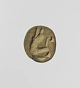 Scarab by Unknown Artist