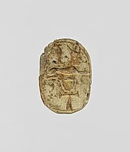 Scarab by Unknown Artist