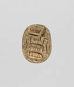 Scarab by Unknown Artist