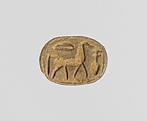 Scarab by Unknown Artist