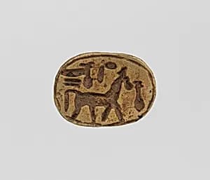 Scarab by Unknown Artist