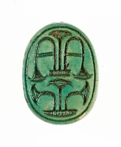 Scarab inscribed with Plant Motifs by Unknown Artist