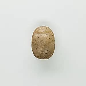Scarab of Ramesses II by Unknown Artist