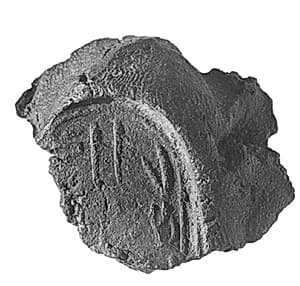 Sealing fragment by Unknown Artist