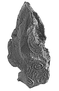 Sealing fragment by Unknown Artist