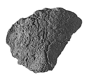 Sealing fragment by Unknown Artist