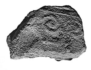 Sealing fragment by Unknown Artist