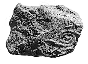 Sealing fragment by Unknown Artist