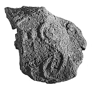 Sealing fragment by Unknown Artist