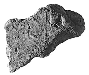 Sealing fragment by Unknown Artist