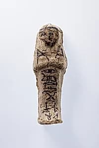 Shabti of Mehefpabenu by Unknown Artist