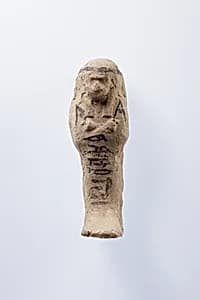 Shabti of Nesinebtasheru by Unknown Artist