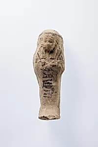 Shabti of Nesinebtasheru by Unknown Artist