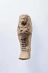 Shabti of Nesinebtasheru by Unknown Artist