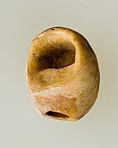 Shell pendant or bead by Unknown Artist