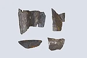 Situla fragments by Unknown Artist